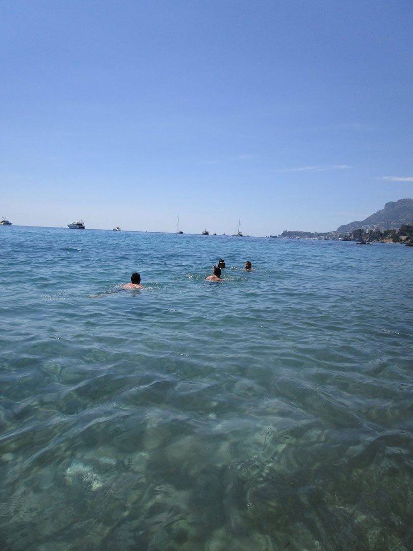 - Monaco Disease Power